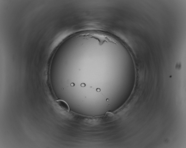 X0000093391415200710111506