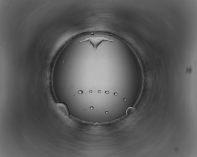 X0000093391416200710111506