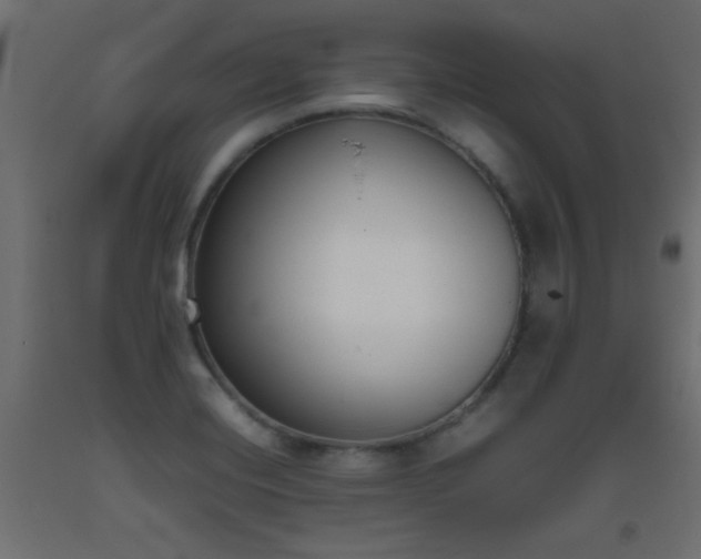 X0000093391420200710111506