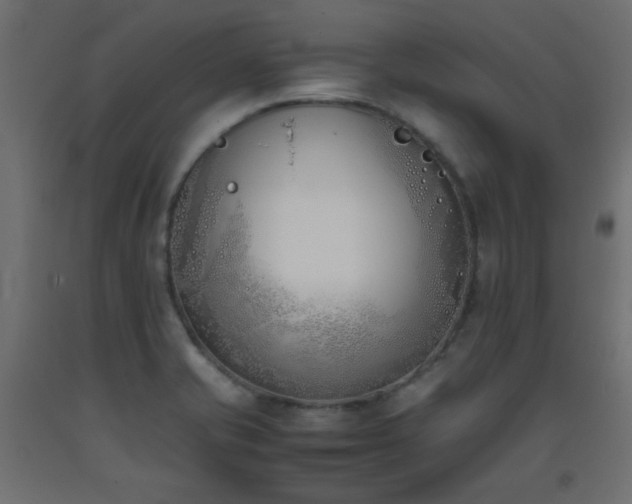 X0000093391421200710111506