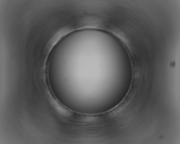 X0000093391423200710111506
