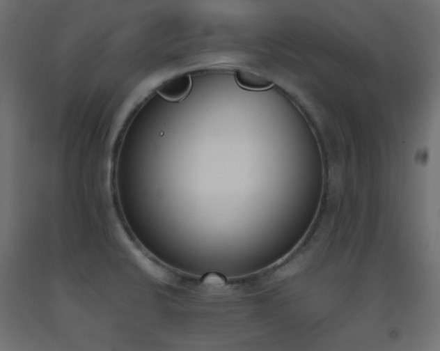 X0000093391424200710111506