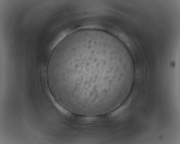 X0000093391425200710111506