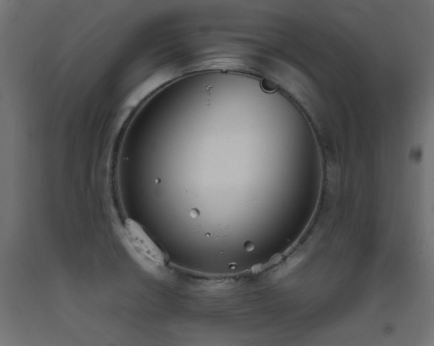 X0000093391426200710111506