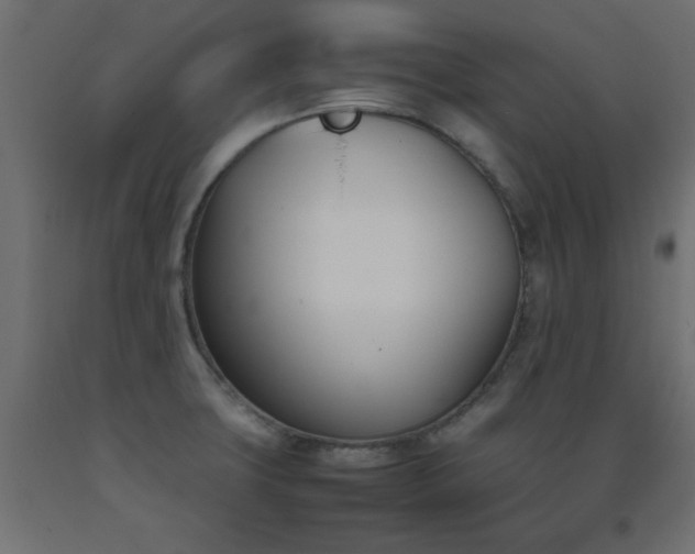 X0000093391427200710111506