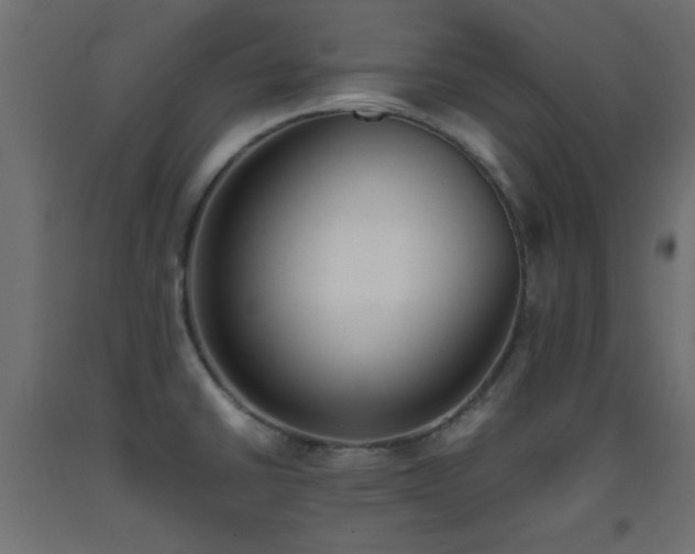 X0000093391430200710111506