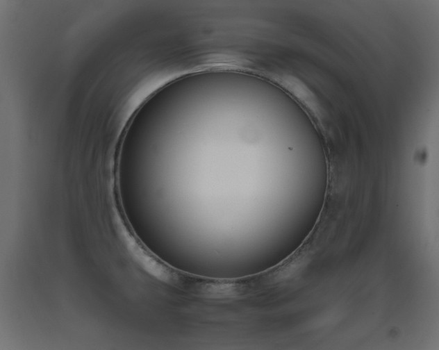 X0000093391431200710111506