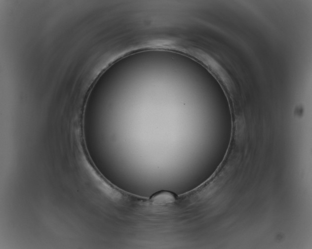 X0000093391432200710111506