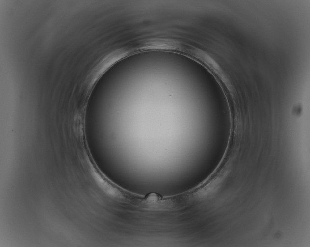 X0000093391433200710111506