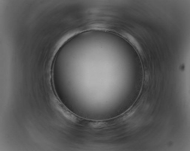 X0000093391435200710111507