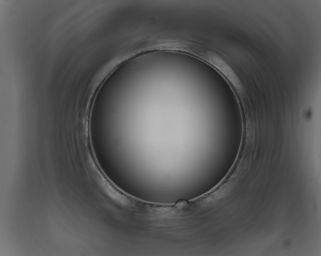 X0000093391436200710111507