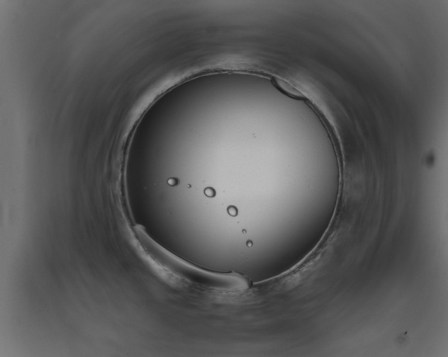 X0000093391437200710111507