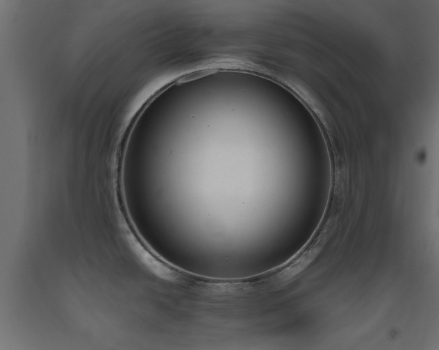 X0000093391438200710111507