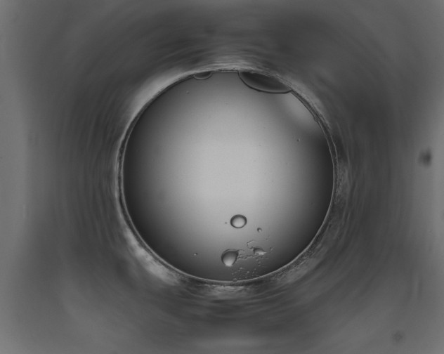 X0000093391439200710111507