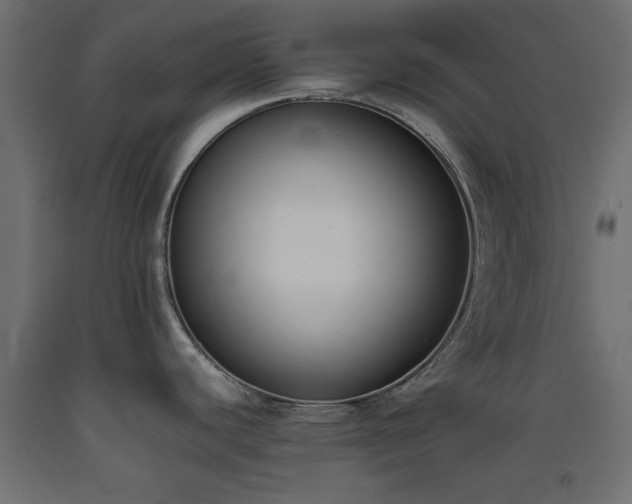 X0000093391440200710111507