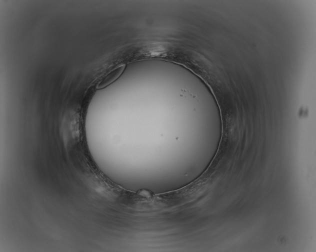 X0000093391442200710111506