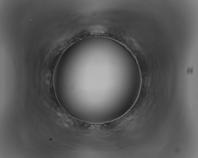 X0000093391445200710111506