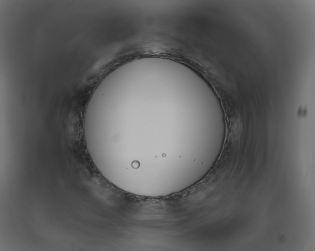 X0000093391446200710111506