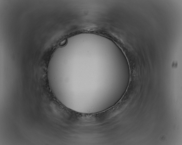 X0000093391447200710111506