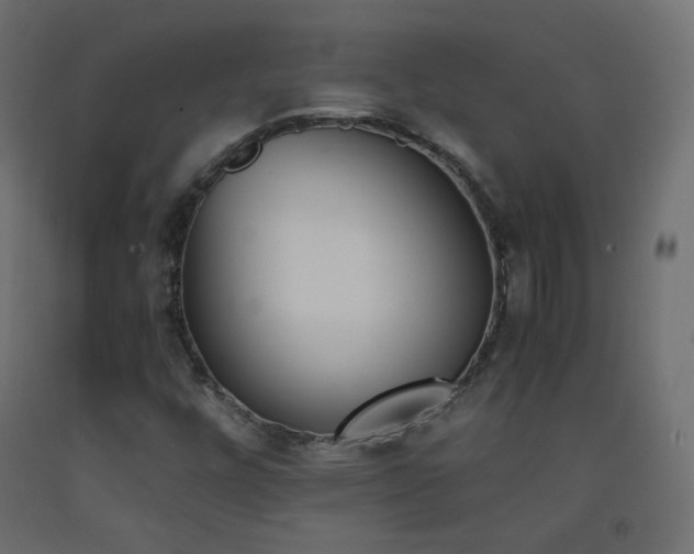 X0000093391448200710111506