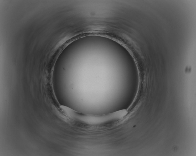 X0000093391449200710111506