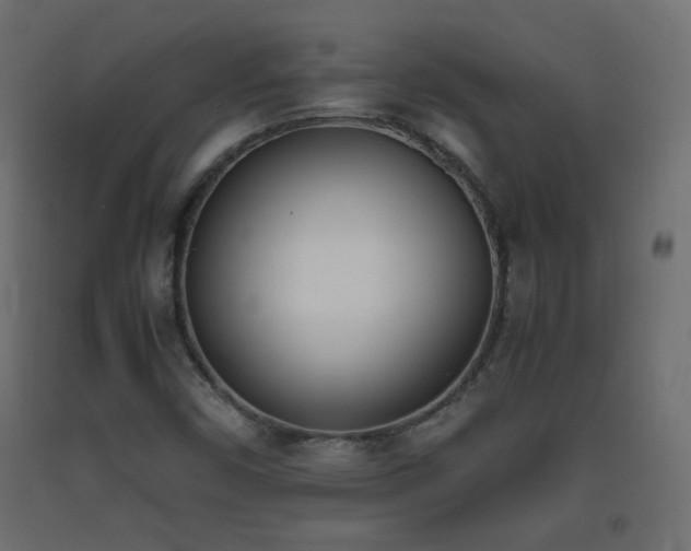 X0000093391450200710111506