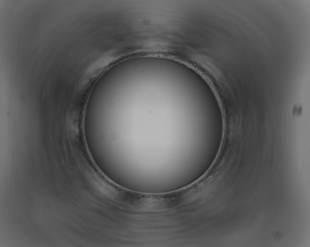 X0000093391451200710111506