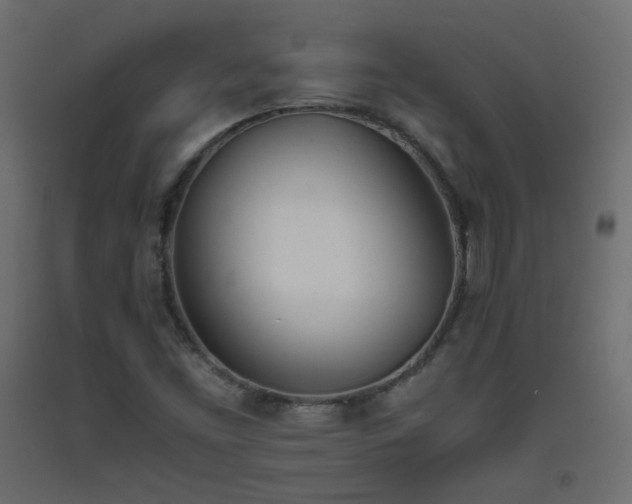 X0000093391453200710111506
