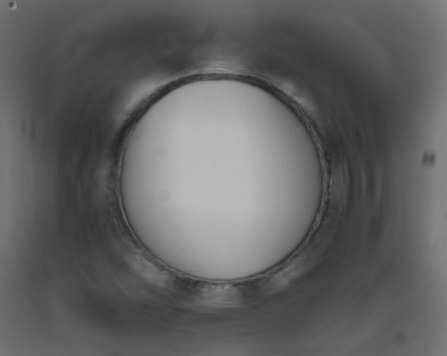 X0000093391454200710111506