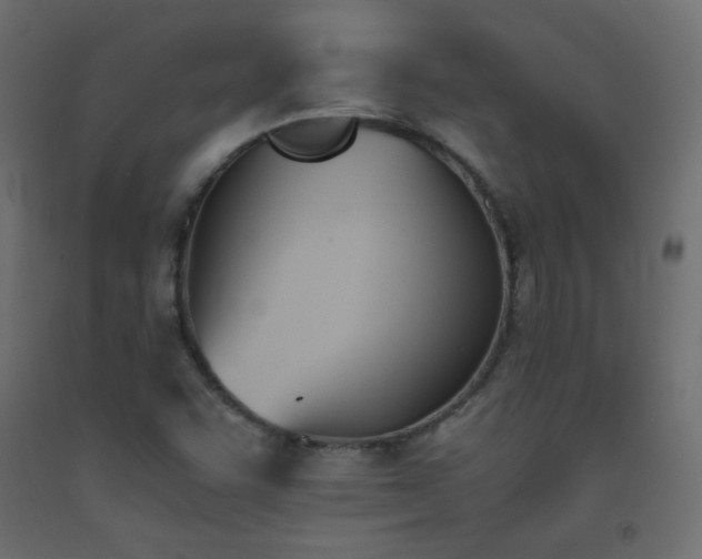 X0000093391455200710111506