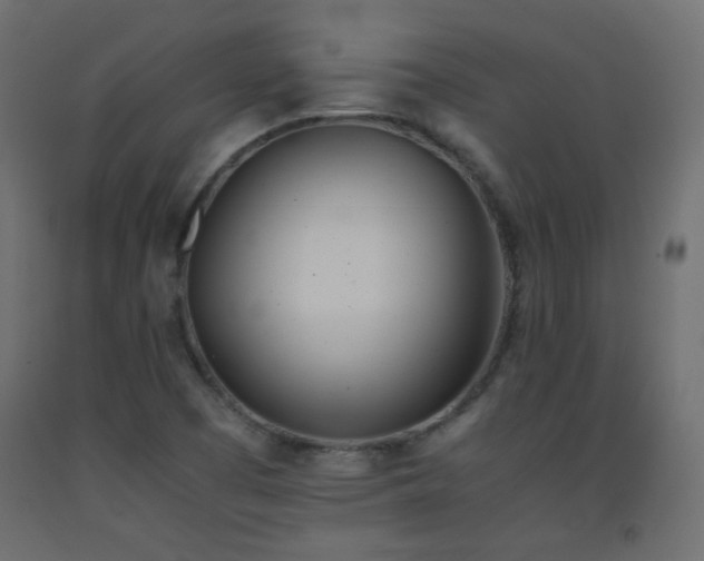 X0000093391457200710111506