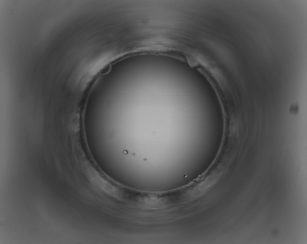 X0000093391459200710111506