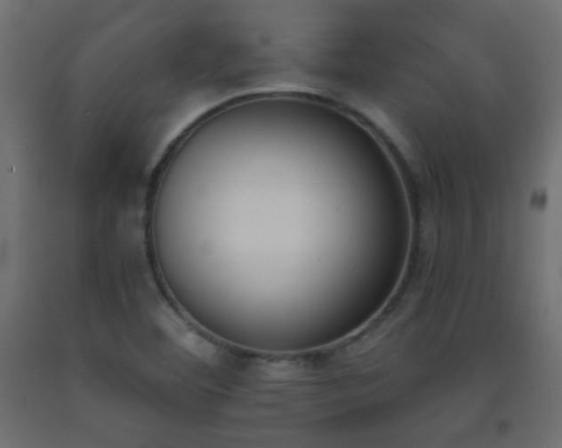 X0000093391460200710111506