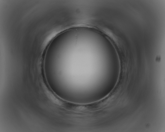 X0000093391463200710111506