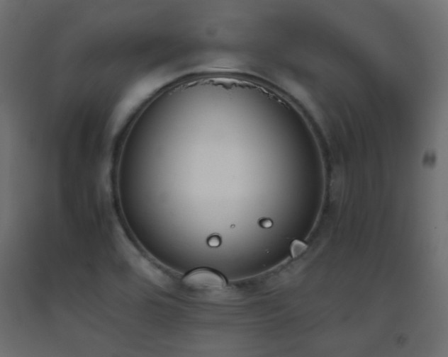 X0000093391464200710111506
