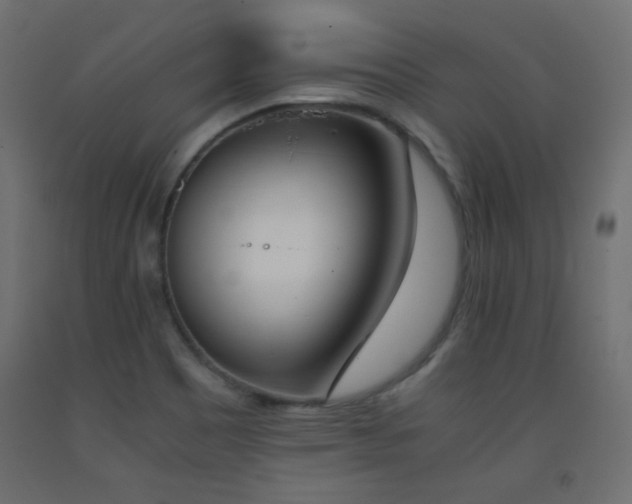 X0000093391465200710111506