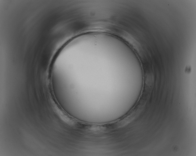 X0000093391466200710111506