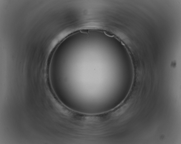 X0000093391469200710111505
