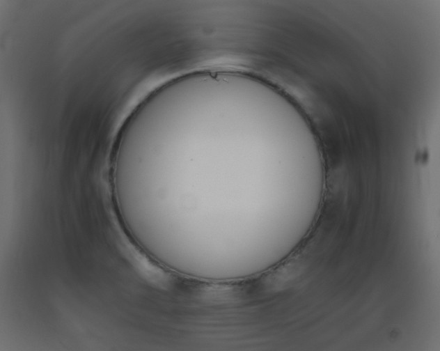 X0000093391470200710111505