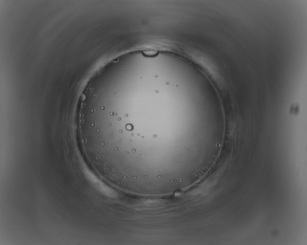 X0000093391471200710111505