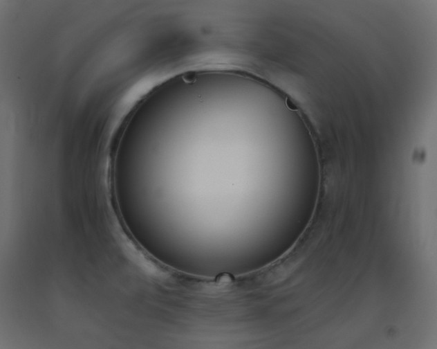 X0000093391472200710111505