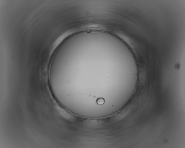 X0000093391474200710111505