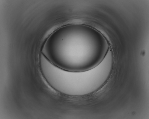X0000093391477200710111505