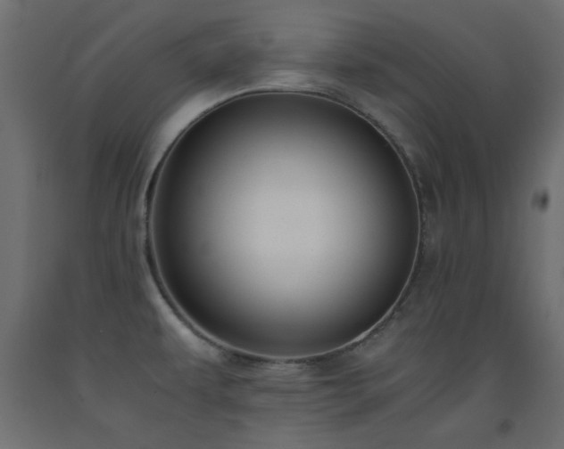 X0000093391479200710111505