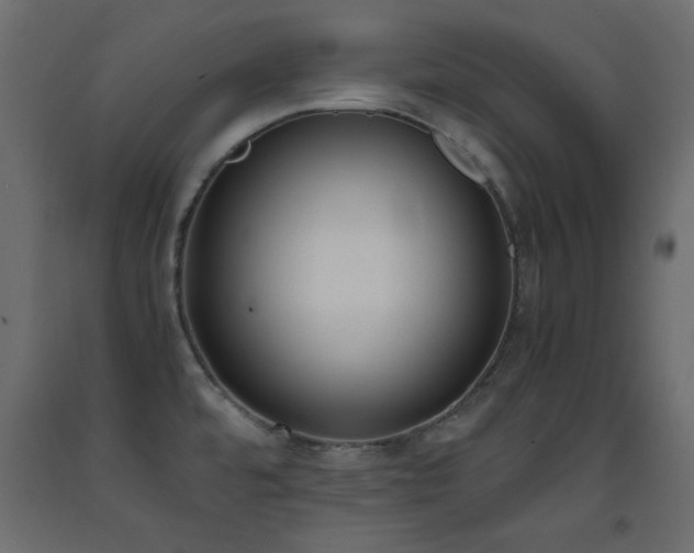 X0000093391480200710111505
