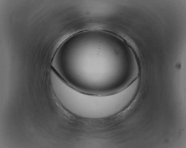 X0000093391481200710111505