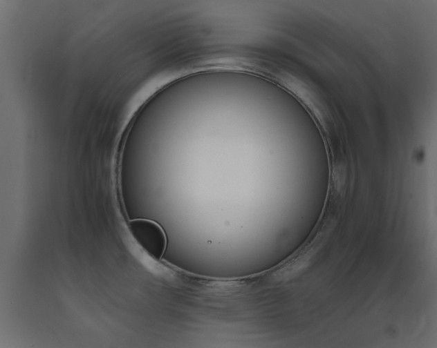 X0000093391482200710111505