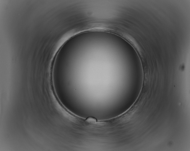 X0000093391483200710111505