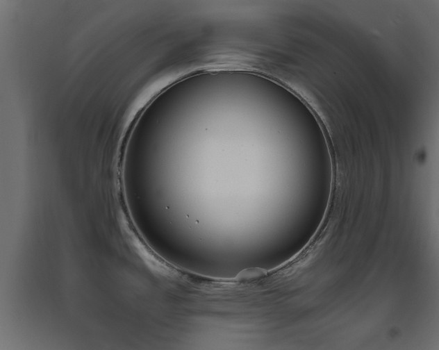 X0000093391485200710111505