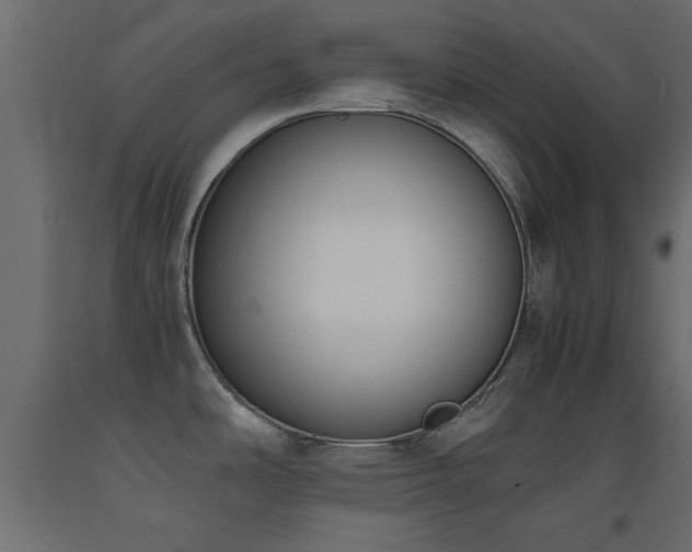 X0000093391486200710111505